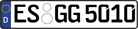 ES-GG5010