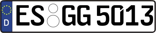 ES-GG5013