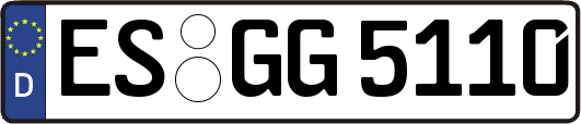 ES-GG5110