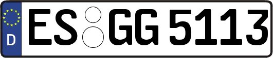 ES-GG5113