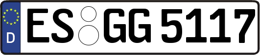 ES-GG5117
