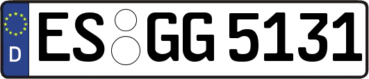 ES-GG5131