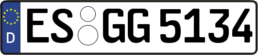 ES-GG5134