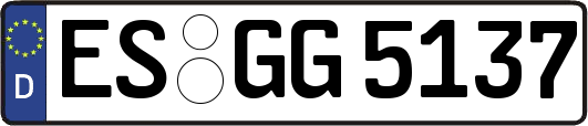 ES-GG5137