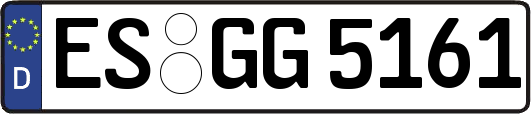 ES-GG5161