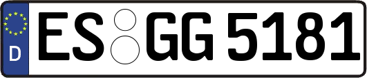 ES-GG5181