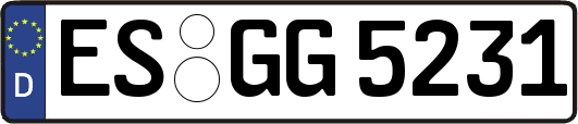 ES-GG5231