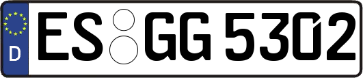 ES-GG5302