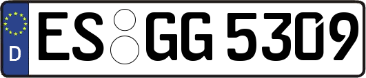 ES-GG5309