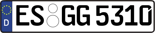 ES-GG5310