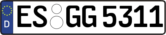 ES-GG5311