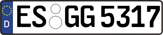 ES-GG5317