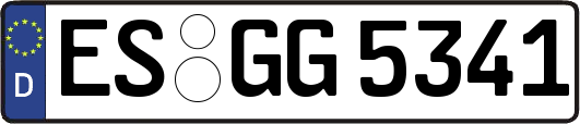 ES-GG5341