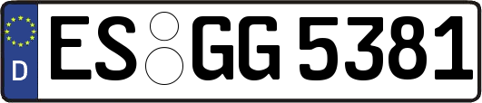 ES-GG5381