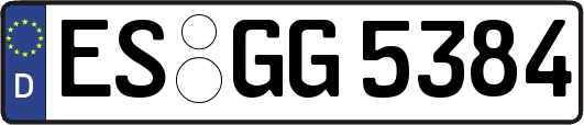ES-GG5384