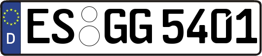 ES-GG5401