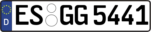 ES-GG5441