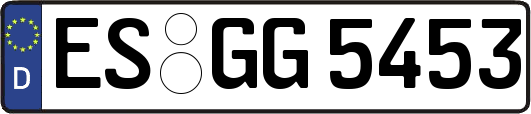 ES-GG5453