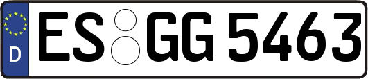 ES-GG5463
