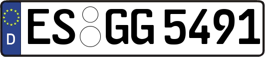 ES-GG5491