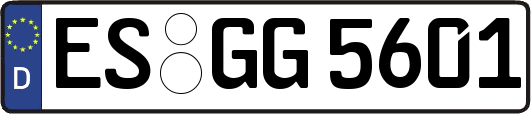ES-GG5601