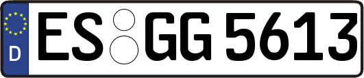 ES-GG5613