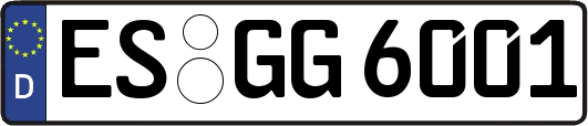 ES-GG6001