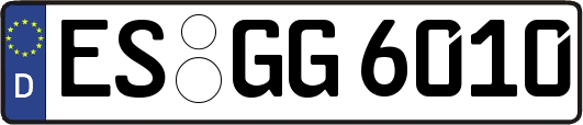 ES-GG6010