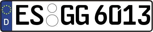 ES-GG6013