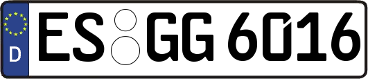 ES-GG6016