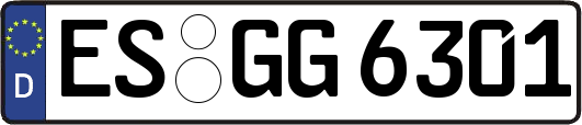 ES-GG6301