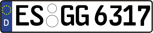 ES-GG6317