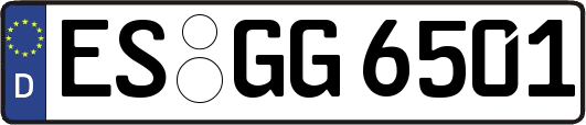 ES-GG6501