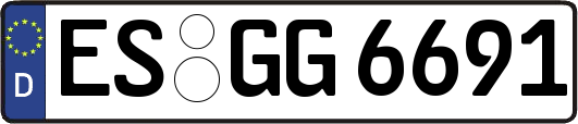 ES-GG6691