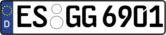 ES-GG6901