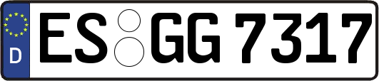 ES-GG7317