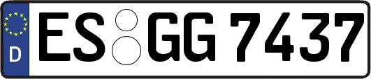 ES-GG7437