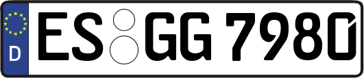 ES-GG7980