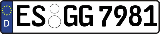 ES-GG7981