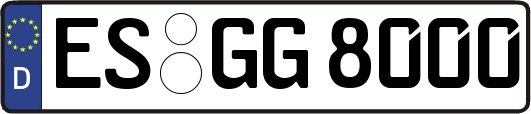 ES-GG8000