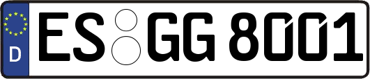 ES-GG8001