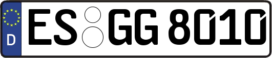 ES-GG8010