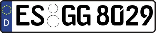 ES-GG8029