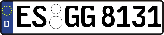 ES-GG8131