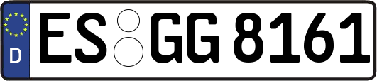 ES-GG8161