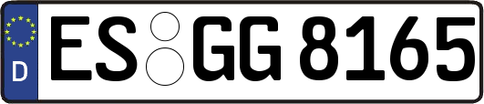 ES-GG8165