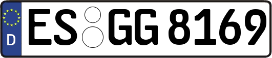 ES-GG8169