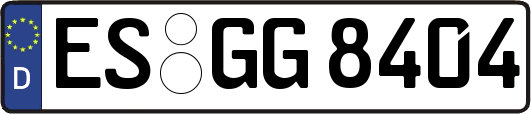 ES-GG8404