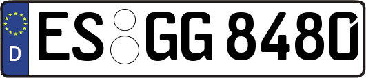 ES-GG8480