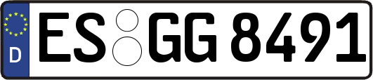 ES-GG8491